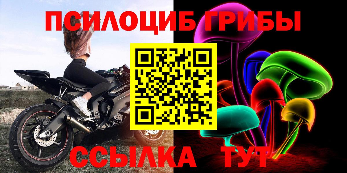 Галлюциногенные грибы Psilocybine cubensis Торжок