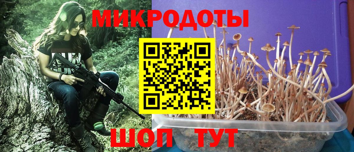 Галлюциногенные грибы мухоморы  Псилоцибиновые грибы Psilocybine cubensis  Торжок  Вход с VPN 