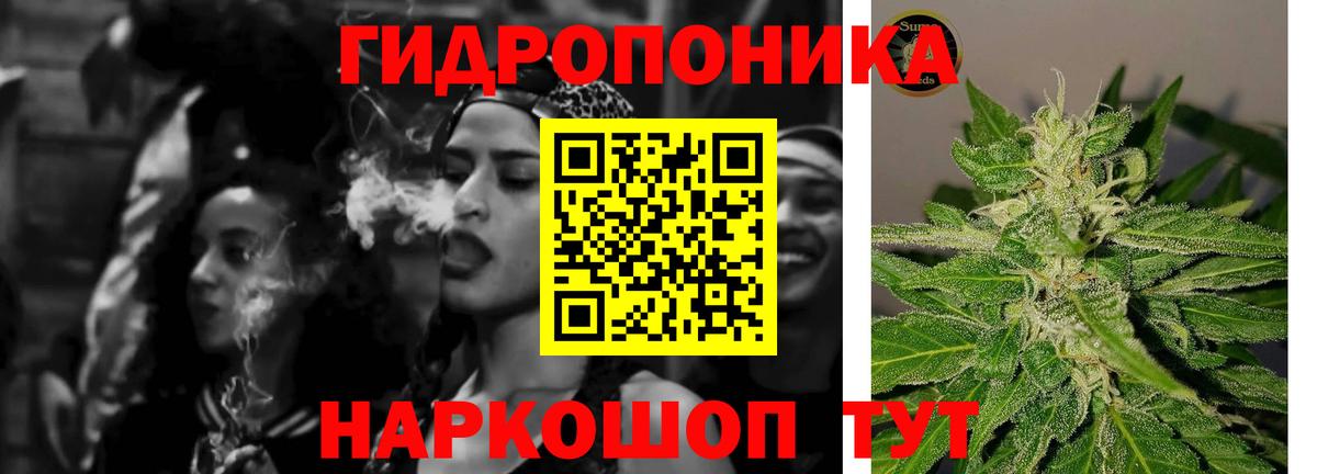 Торжок  Шишки марихуана Amnesia  Каннабис Ganja  Вход с VPN  Марихуана THC 21%  Каннабис сатива 